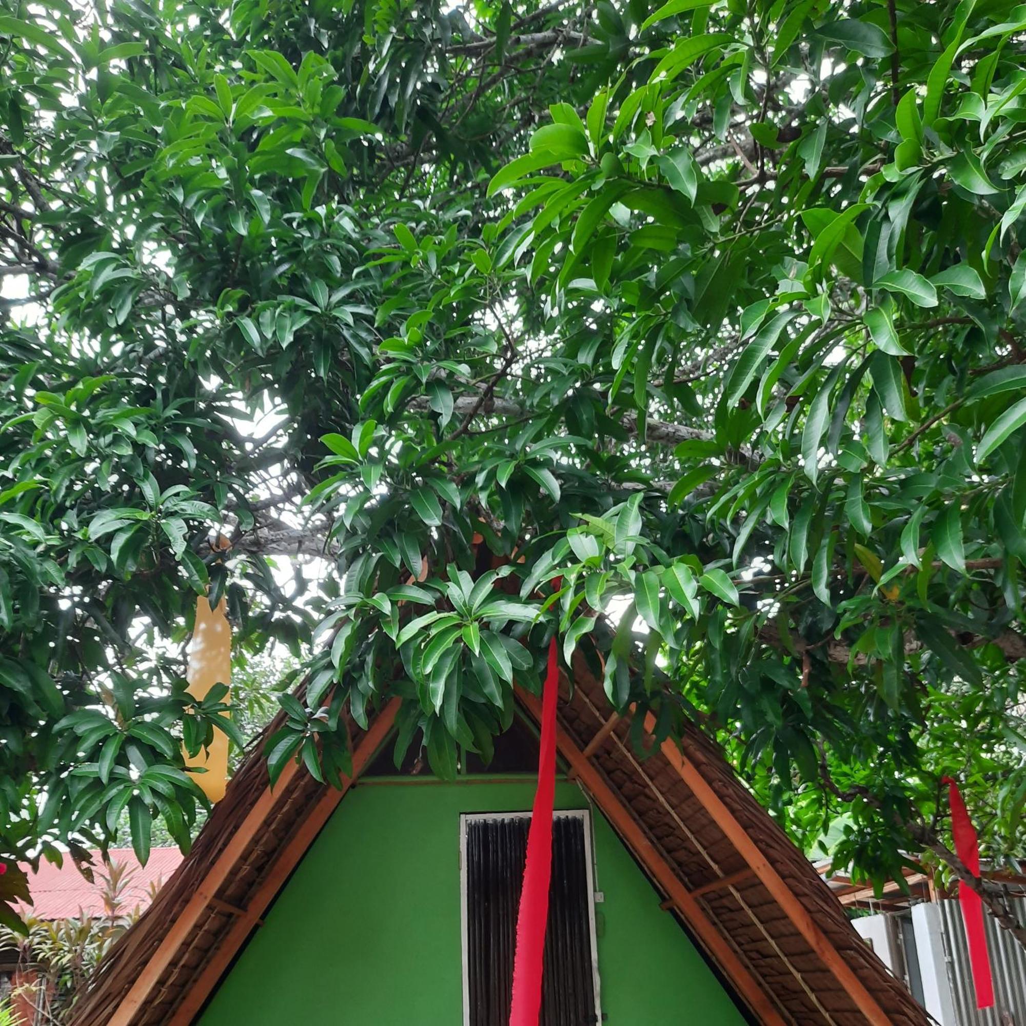 Lagkaw Uno In Lagkaw Homestay ปางเลา ภายนอก รูปภาพ